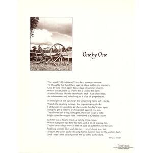 One By One Mary A. Selden 1970s Poem Retro Kitsch Wall Art SF7